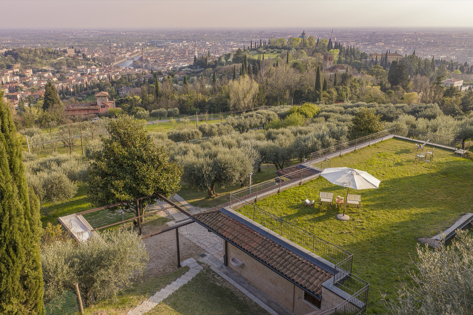Vista aerea della Collina degli Ulivi