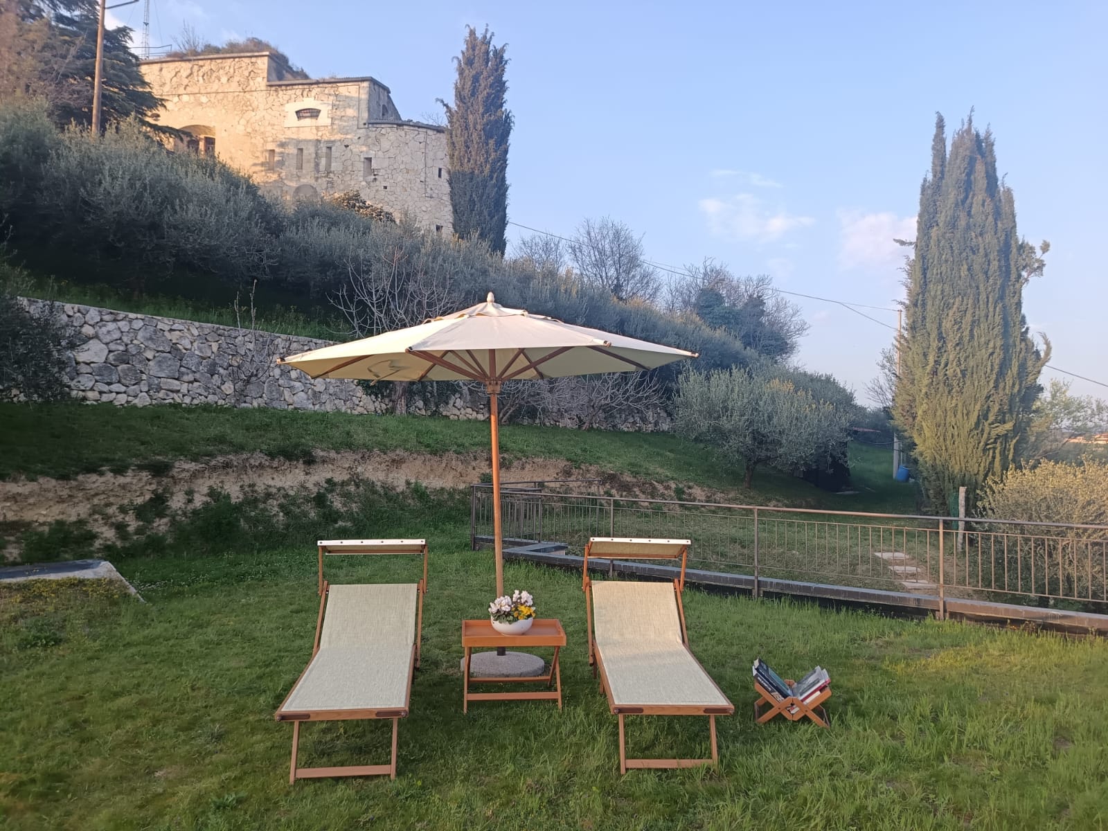 Giardino con cipressi